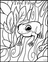 Printable Frog Coloring Pages At GetColoringscom  Free printable sketch template