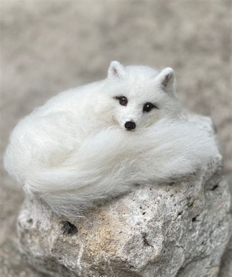 Needle Felted Arctic Fox, White Winter - Etsy