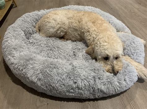 Dog Beds For Sale Online In Australia - Coops And Cages