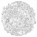 Coloring Examples Pages sketch template