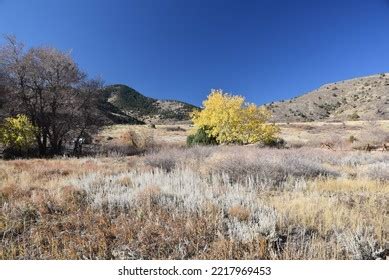 Red Rocks Park Amphitheatre Stock Photo 2217969453 | Shutterstock