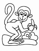 Monkey With Banana coloring Page  Download Print Or Color Online For Free sketch template