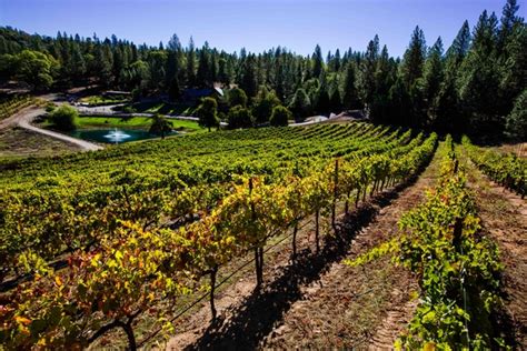 Summer Adventures Abound in El Dorado Wine Country