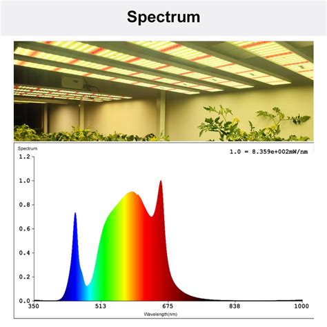 China LED 1000W Greenhouse Grow Lighting for Hydroponic For Marijuana ...