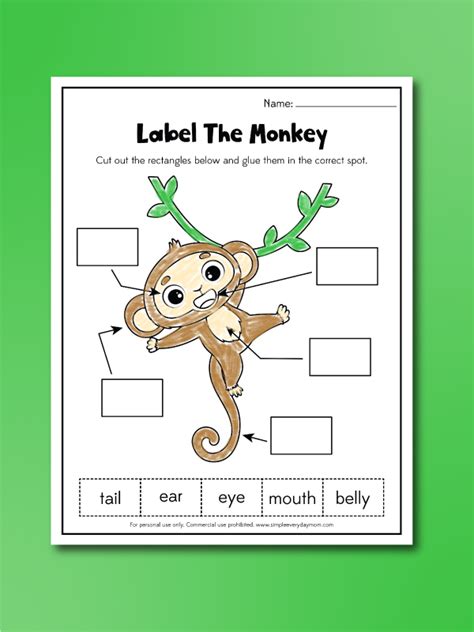 Monkey Worksheets For Kids [Free Printables]