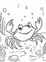 Top 30  Crab Coloring Pages For Young Artists 🦀🎨 Coloringpagesforkidsnet sketch template