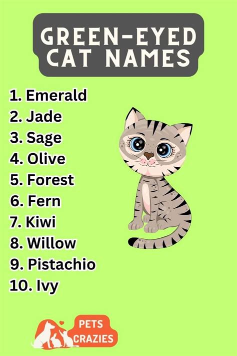 300+ Green-Eyed Cat Names (Memorable Picks)