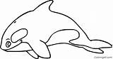 Orca Killer Whale Coloring Page Abc Worksheet sketch template
