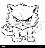 Angry Cat Coloring Pages For Kids Stock Vector Image & Art  Alamy sketch template