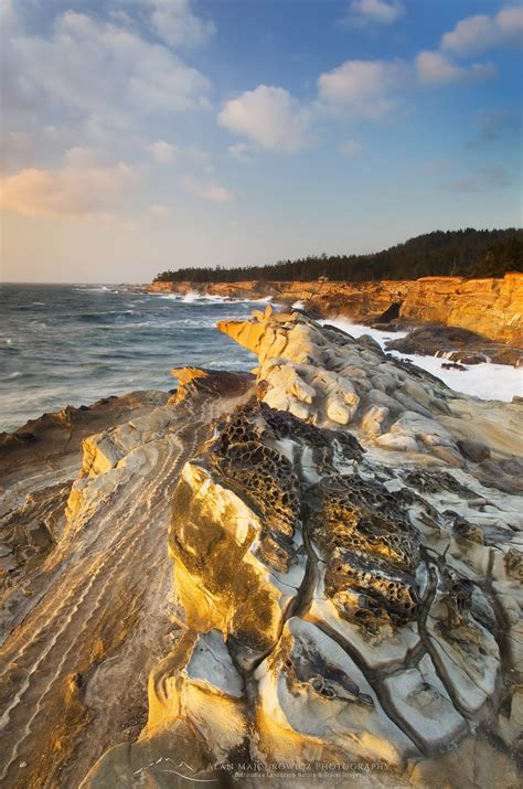 Shore Acres State Park Oregon - Alan Majchrowicz Photography