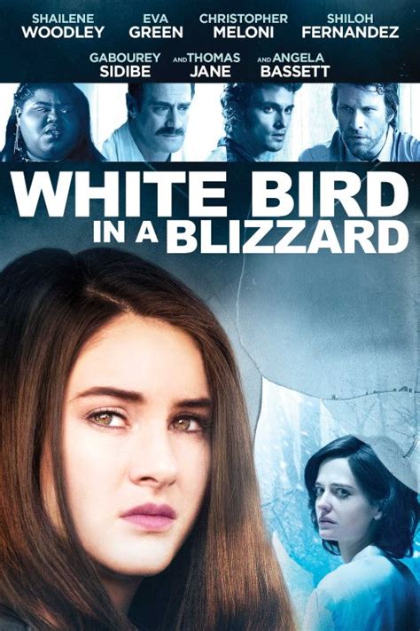 White Bird in a Blizzard (2014) - Gregg Araki | Synopsis ...