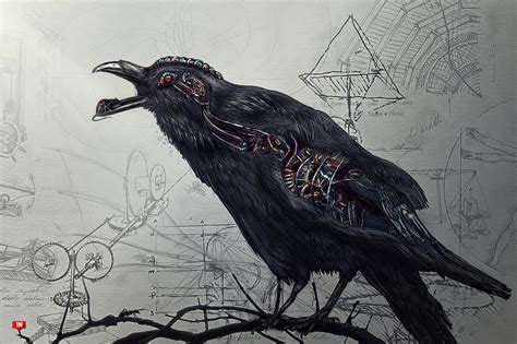 Raven - IN 14th Exp by Dafne-1337art on DeviantArt