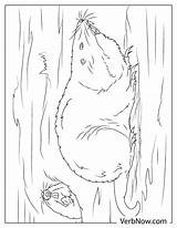 Free GOPHER Coloring Pages For Download Printable PDF sketch template