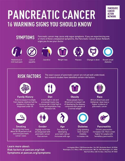 How To Check Your Pancreas - Warexamination15