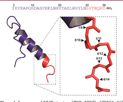 Figure 1 from Design and Synthesis of Peptide YY Analogues with C ...