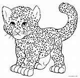 Baby Cheetah Coloring Page  Free Printable Pages sketch template