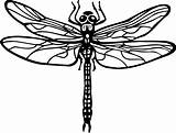 Dragonfly Coloring Pages To Download And Print For Free sketch template