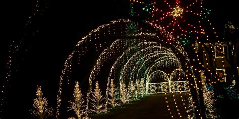 The Best Christmas Light Displays in Los Angeles | Moving Happiness Home