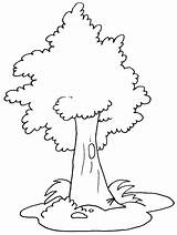 Free Printable Tree Coloring Pages For Kids sketch template
