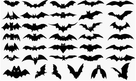 Vector Set of Halloween Bat Silhouette Vectors graphic art designs in editable .ai .eps .svg ...