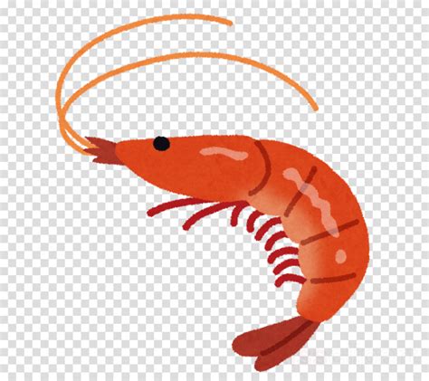 Download High Quality Shrimp Clipart Blue Transparent - vrogue.co