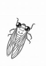 Free Print Cicada Coloring Pages  sketch template