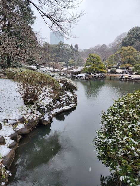 Premium Photo | Park shinjuku gyoen on winter