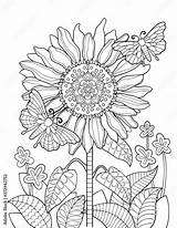 Flower Mandala Of Sunflower Coloring Page C  Vrogueco sketch template