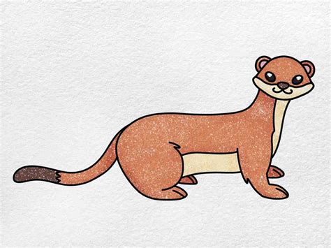 How to Draw a Weasel - HelloArtsy