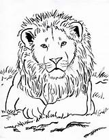 Leeuw Kleurplaat Realistic Tamarin Kleurplaten Gorillas Topkleurplaat  sketch template
