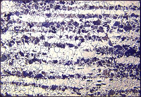 Microstructures - Low Alloy Steels - Lesson-1 - Specimen01