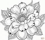 Colouring Pages Lotus Flower At Freddie Johson Blog sketch template