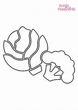 Cauliflower And Cabbage Coloring Page For Kids  FirstCry Parenting sketch template