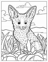 Baby Realistic Fox Coloring Pages sketch template