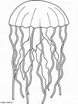 Good Jellyfish coloring Page sketch template