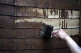 Free image of Painting a timber building with creosote