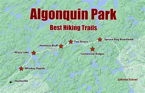 6 Best Hiking Trails in Algonquin Park - Avrex Travel