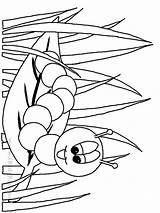 Worm Coloring Pages & Books  100% FREE And Printable sketch template