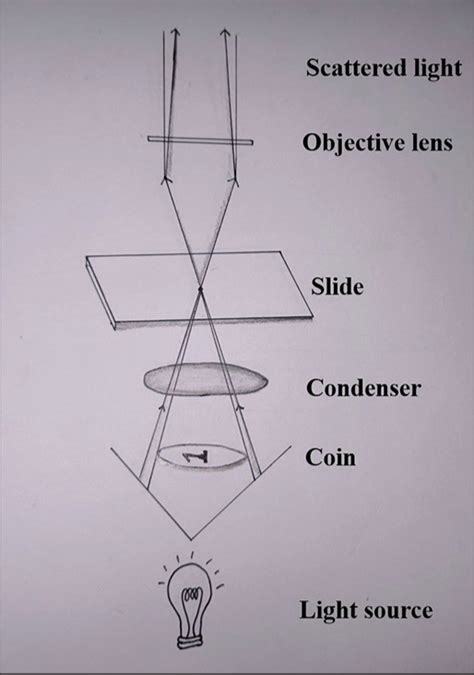 Cost-effective method of dark field microscopy in everyday practice - Cosmoderma