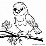 Robin Coloring Pages  Free & Printable sketch template