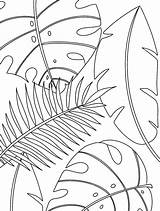 Tropical Leaves Coloring Pages sketch template