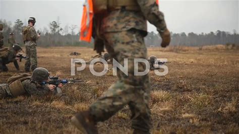 U.S. Marines, Bravo company conducts live fire maneuver under fire exercise-2017 Stock Footage # ...