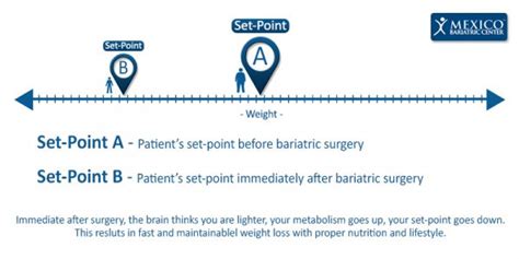 Set Point Theory: Meaning, Definition, and How it Works.