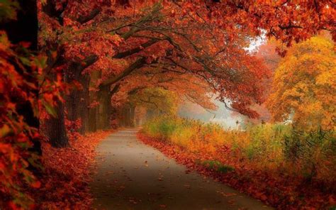 Fall Scenery Photo HD. | Autumn scenery, Scenery photos, Scenery wallpaper