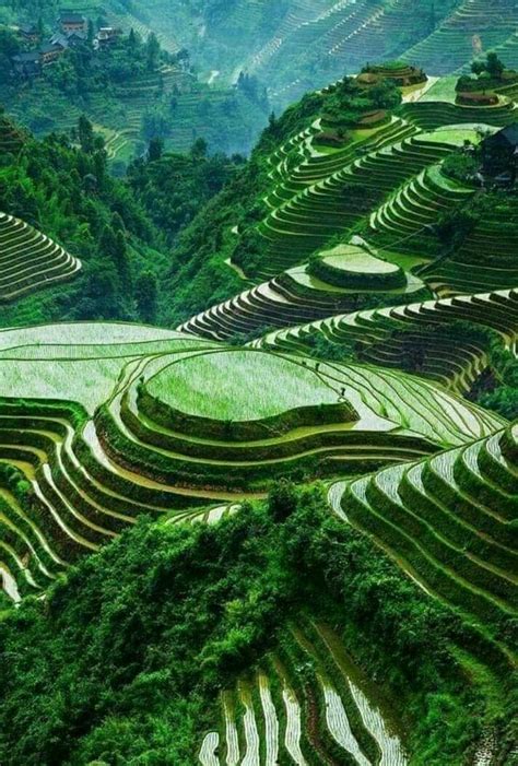 Rice terraces in cordillera Mountains, Philippines | Beautiful places nature, Scenery, Cool ...