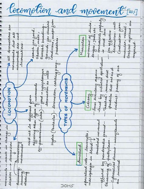 SOLUTION: Locomotion and movement mind map - Studypool