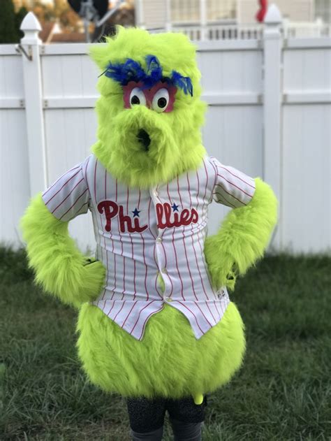 Homemade Philly Phanatic | Great costume ideas, Costumes, Diy crafts