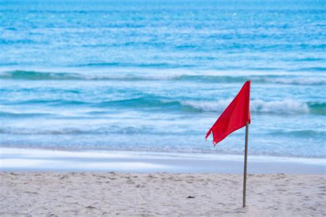 What Do Beach Flags Mean? - SafetySign.com Blog