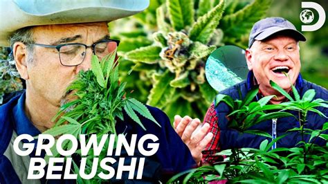 Jim Belushi Is Challenged to a Grow-Off | Growing Belushi - YouTube