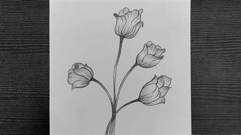 Easy Flower Drawings, Easy Drawings, Pencil Drawings, Step By Step ...